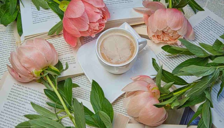 Installing Fencing Around Your Home