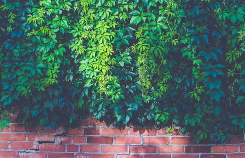 How to Use Artificial Outdoor Plants