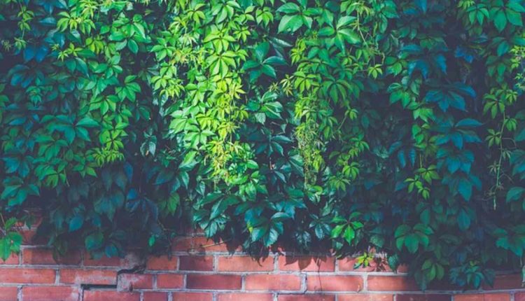 How to Use Artificial Outdoor Plants
