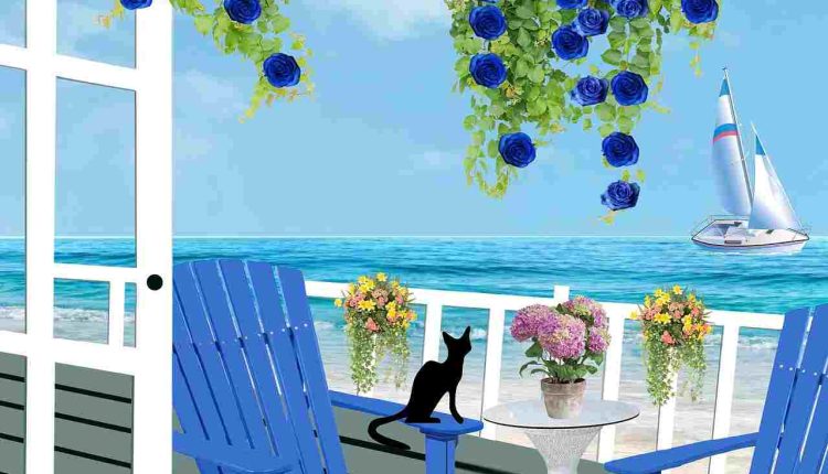 Sliding Glass Patio Door