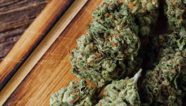 buy runtz strain online